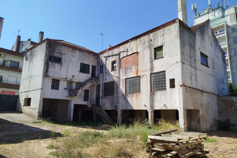 Erhvervsejendom i Abrantes, Santarem, Abrantes - € 295.000 | Ref: SF-SAFTI:007211 - foto 18