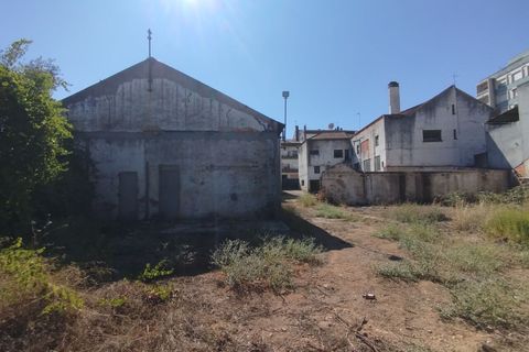 Erhvervsejendom i Abrantes, Santarem, Abrantes - € 295.000 | Ref: SF-SAFTI:007211 - foto 19