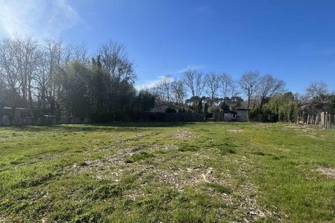 Villa i Landiras, Gironde, Landiras - € 274.400 | Ref: AM-LANDIRAS-100 - foto 4
