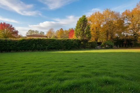 Terra a Brach, Gironde, Brach - € 110.000 | Ref: MO-BRACH-493-a - foto 2