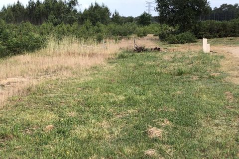 Villa i La Teste-de-Buch, Gironde, La Teste-de-Buch - € 376.600 | Ref: CB-624LATESTE5 - foto 1