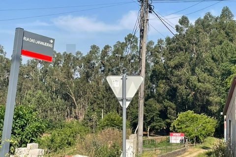 Grond in Agueda, Aveiro, Agueda - € 24.000 | Ref: KWPT-028009 - foto 5