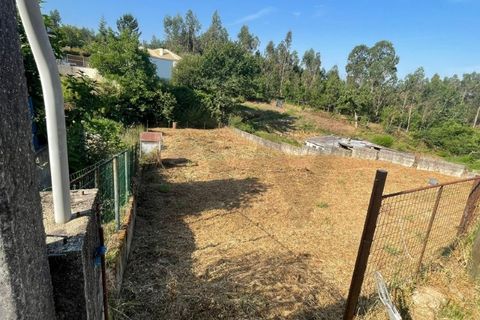 Grond in Agueda, Aveiro, Agueda - € 24.000 | Ref: KWPT-028009 - foto 12