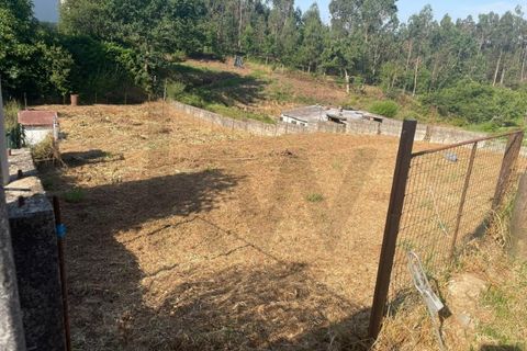 Grond in Agueda, Aveiro, Agueda - € 24.000 | Ref: KWPT-028009 - foto 21