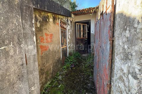 Villa i Mangualde, Viseu, Mangualde - € 20.000 | Ref: 389260008 - foto 2
