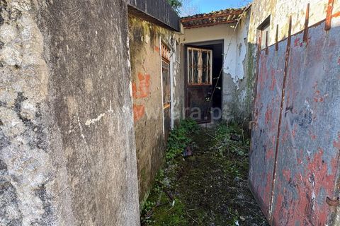 Villa i Mangualde, Viseu, Mangualde - € 20.000 | Ref: 389260008 - foto 3