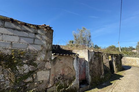 Villa i Mangualde, Viseu, Mangualde - € 20.000 | Ref: 389260008 - foto 4