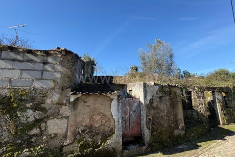 Villa i Mangualde, Viseu, Mangualde - € 20.000 | Ref: 389260008 - foto 6