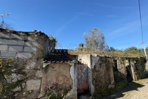 Villa i Mangualde, Viseu, Mangualde - € 20.000 | Ref: 389260008 - foto 7