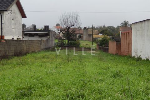 Helårsgrund i Anadia, Aveiro, Anadia - € 38.000 | Ref: AV2812 - foto 2