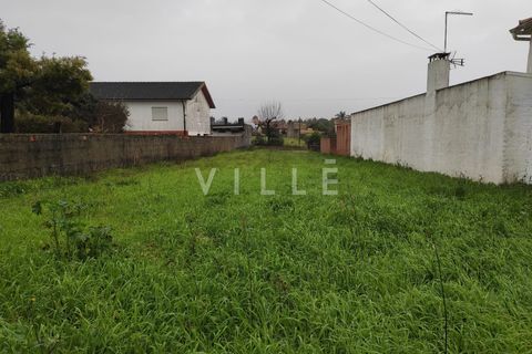 Helårsgrund i Anadia, Aveiro, Anadia - € 38.000 | Ref: AV2812 - foto 3