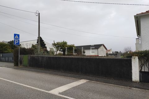 Helårsgrund i Anadia, Aveiro, Anadia - € 38.000 | Ref: AV2812 - foto 4