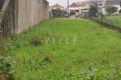 Helårsgrund i Anadia, Aveiro, Anadia - € 38.000 | Ref: AV2812 - foto 6