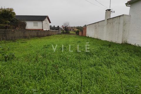Helårsgrund i Anadia, Aveiro, Anadia - € 38.000 | Ref: AV2812 - foto 7