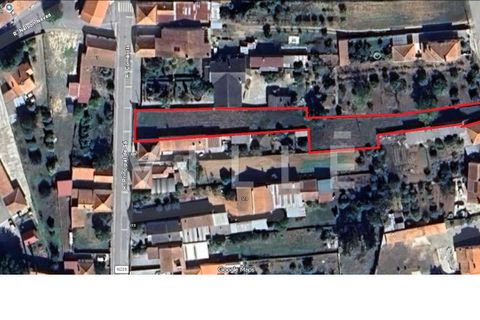 Helårsgrund i Anadia, Aveiro, Anadia - € 38.000 | Ref: AV2812 - foto 9