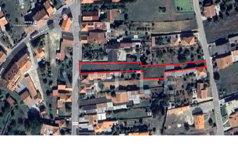 Helårsgrund i Anadia, Aveiro, Anadia - € 38.000 | Ref: AV2812 - foto 10