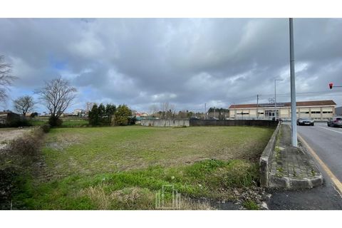 Helårsgrund i Ovar, Aveiro, Ovar - € 100.000 | Ref: 364-OVR - foto 5