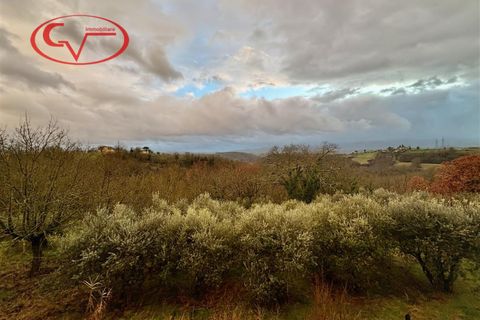 Leilighet i Terranuova Bracciolini, Arezzo, Terranuova Bracciolini - € 135 000 | Ref: 8269 - foto 5