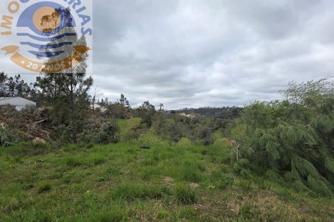 Helårsgrund i Ourem, Santarem, Ourem - € 85.000 | Ref: SÒL_795 - foto 6