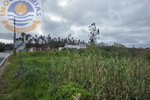 Helårsgrund i Ourem, Santarem, Ourem - € 85.000 | Ref: SÒL_795 - foto 17