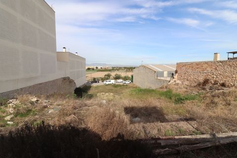 Helårsgrund i Benijofar, Alicante, Benijofar - € 790.000 | Ref: CLDVI-31643 - foto 3