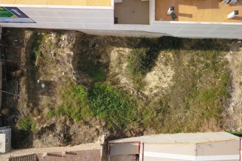 Helårsgrund i Benijofar, Alicante, Benijofar - € 790.000 | Ref: CLDVI-31643 - foto 4