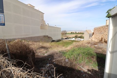 Helårsgrund i Benijofar, Alicante, Benijofar - € 790.000 | Ref: CLDVI-31643 - foto 8
