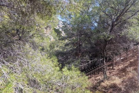 Terra a Altea, Alicante, Altea - € 250.000 | Ref: P009 - foto 3