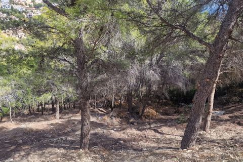 Terra a Altea, Alicante, Altea - € 250.000 | Ref: P009 - foto 4