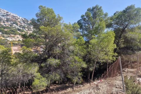 Terra a Altea, Alicante, Altea - € 250.000 | Ref: P009 - foto 6
