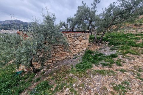 Finca i Confrides, Alicante, Confrides - € 50 000 | Ref: CC003 - foto 12