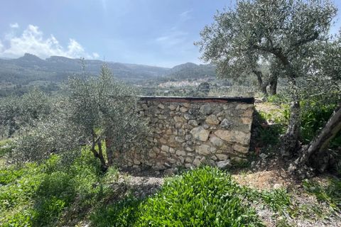 Finca i Confrides, Alicante, Confrides - € 50 000 | Ref: CC003 - foto 13