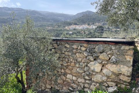 Finca i Confrides, Alicante, Confrides - € 50 000 | Ref: CC003 - foto 14