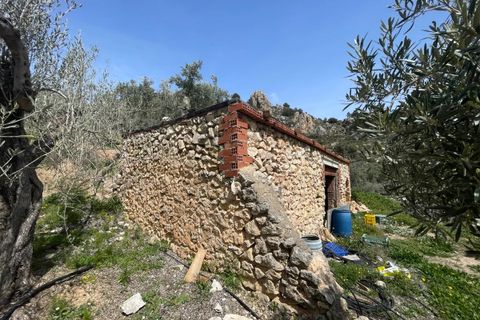 Finca i Confrides, Alicante, Confrides - € 50 000 | Ref: CC003 - foto 15