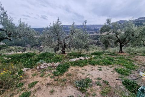 Finca i Confrides, Alicante, Confrides - € 50 000 | Ref: CC003 - foto 16