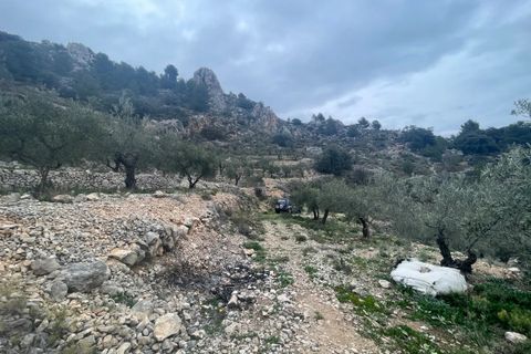 Finca i Confrides, Alicante, Confrides - € 50 000 | Ref: CC003 - foto 20