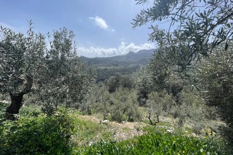 Finca i Confrides, Alicante, Confrides - € 50 000 | Ref: CC003 - foto 22