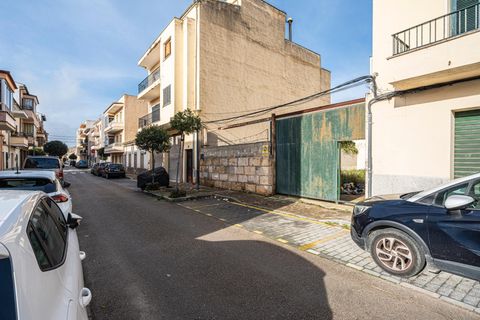 Terra a Lloseta, Mallorca, Lloseta - € 199.999 | Ref: 04SBDL356/3010 - foto 3