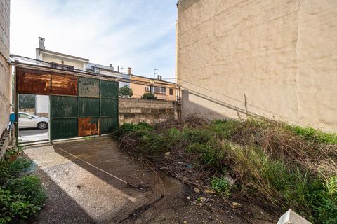 Terra a Lloseta, Mallorca, Lloseta - € 199.999 | Ref: 04SBDL356/3010 - foto 5