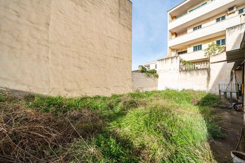 Terra a Lloseta, Mallorca, Lloseta - € 199.999 | Ref: 04SBDL356/3010 - foto 9