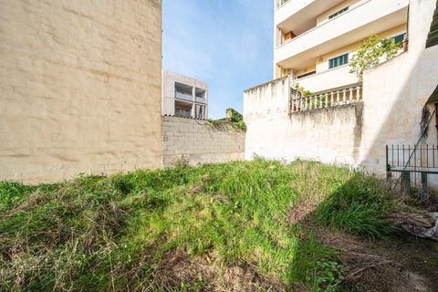 Terra a Lloseta, Mallorca, Lloseta - € 199.999 | Ref: 04SBDL356/3010 - foto 10