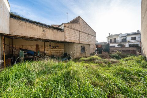 Terra a Lloseta, Mallorca, Lloseta - € 199.999 | Ref: 04SBDL356/3010 - foto 12