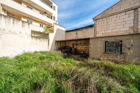 Terra a Lloseta, Mallorca, Lloseta - € 199.999 | Ref: 04SBDL356/3010 - foto 14