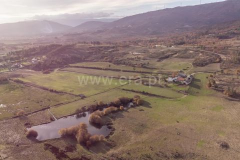 Farm i Guarda, Guarda, Guarda - € 780.000 | Ref: 111250253 - foto 1
