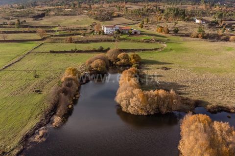 Farm i Guarda, Guarda, Guarda - € 780.000 | Ref: 111250253 - foto 2