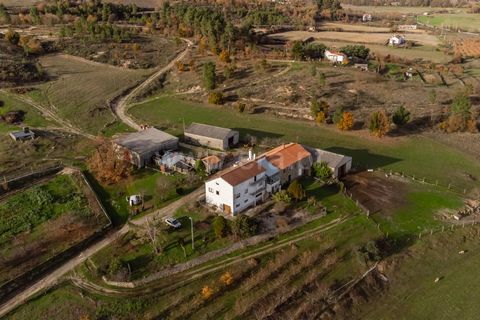 Farm i Guarda, Guarda, Guarda - € 780.000 | Ref: 111250253 - foto 3