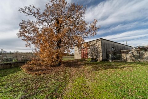 Farm i Guarda, Guarda, Guarda - € 780.000 | Ref: 111250253 - foto 4