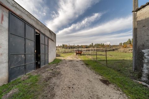 Farm i Guarda, Guarda, Guarda - € 780.000 | Ref: 111250253 - foto 9