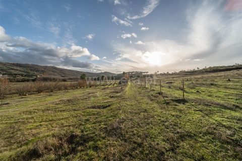 Farm i Guarda, Guarda, Guarda - € 780.000 | Ref: 111250253 - foto 11