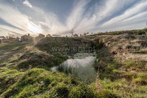Farm i Guarda, Guarda, Guarda - € 780.000 | Ref: 111250253 - foto 12
